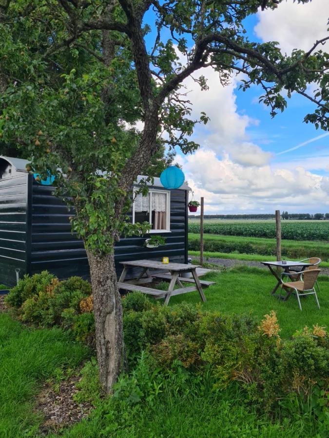 B&B Beemsterlust Westbeemster Eksteriør bilde